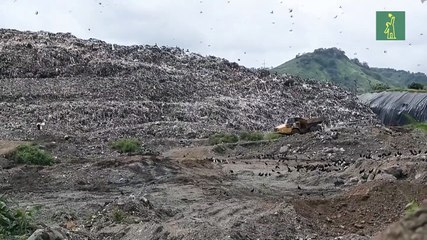 El Cerro Patacón, el mayor vertedero de Panamá, es un "desastre ambiental y sanitario"