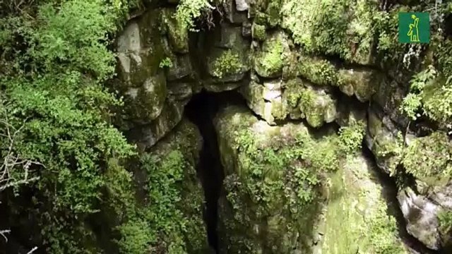 Cuidado del bosque ayuda a abastecer de agua ante sequías en México