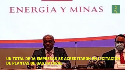 Un total de 16 empresas se acreditaron en licitación de plantas de gas natural.