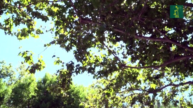 Autoridad francesa de Competencia multa a Google con unos 592 millones de dólares