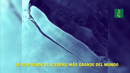 Se desprende el iceberg más grande del mundo.