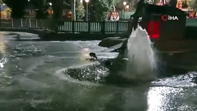 Ankara’da hava sıcaklığı eksi 10 dereceye düştü: Kuğulu Park’ın havuzu dondu