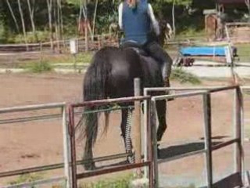 Calinette au boulot