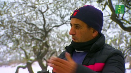 Nieve cubre provincia de Córdoba, por primera vez en 14 años.