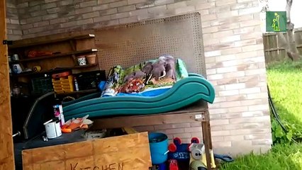 Recomendaciones sobre qué hacer ante el paso de un fenómeno atmosférico.