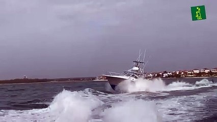 Torneo de pesca al Marlin Blanco 2021, en Cabeza de Toro