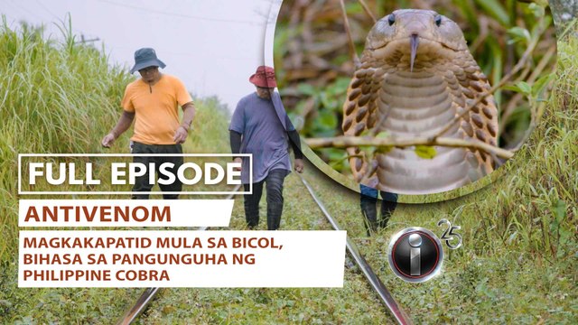 'Antivenom,' dokumentaryo ni Kara David (Full Episode) | I-Witness