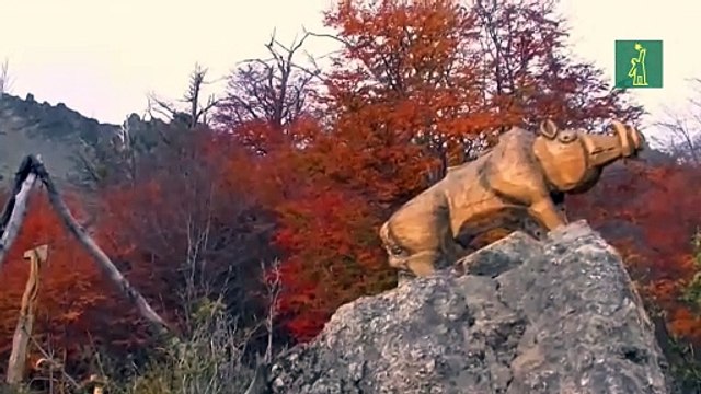 El “Bosque Tallado” nace de las cenizas de un cerro argentino