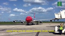 Llega otro lote de vacuna Sinovac desde China