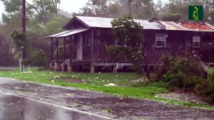 Efectos del huracán Ida sobre Luisiana