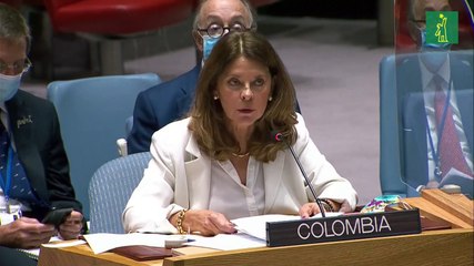 Colombia se defiende en la ONU de críticas tras las protestas sociales