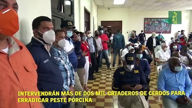 Intervendrán más de dos mil criaderos de cerdos para erradicar peste porcina