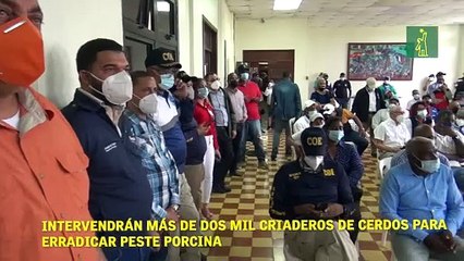 Intervendrán más de dos mil criaderos de cerdos para erradicar peste porcina