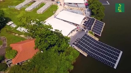 Singapur presenta una de las mayores centrales solares flotantes del mundo