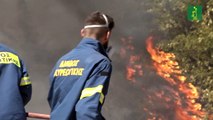Nuevo incendio a 50 km de Atenas, tres poblados evacuados por precaución