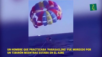 Un hombre que practicaba ‘parasailing’ fue mordido por  un tiburón mientras estaba en el aire.