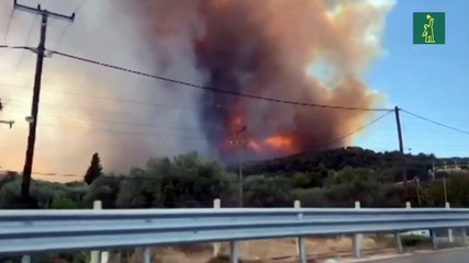 Cinco pueblos griegos del Peloponeso evacuados por incendios