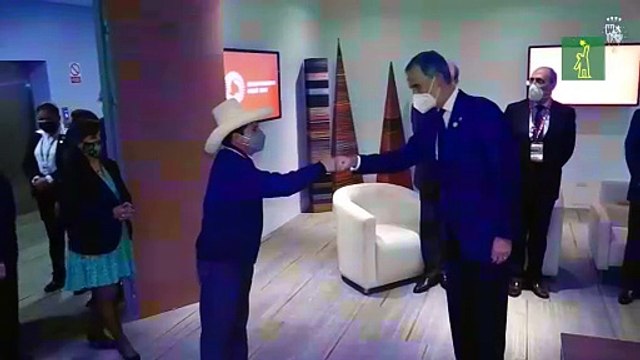 El rey Felipe VI se reunió con el nuevo presidente peruano Pedro Castillo