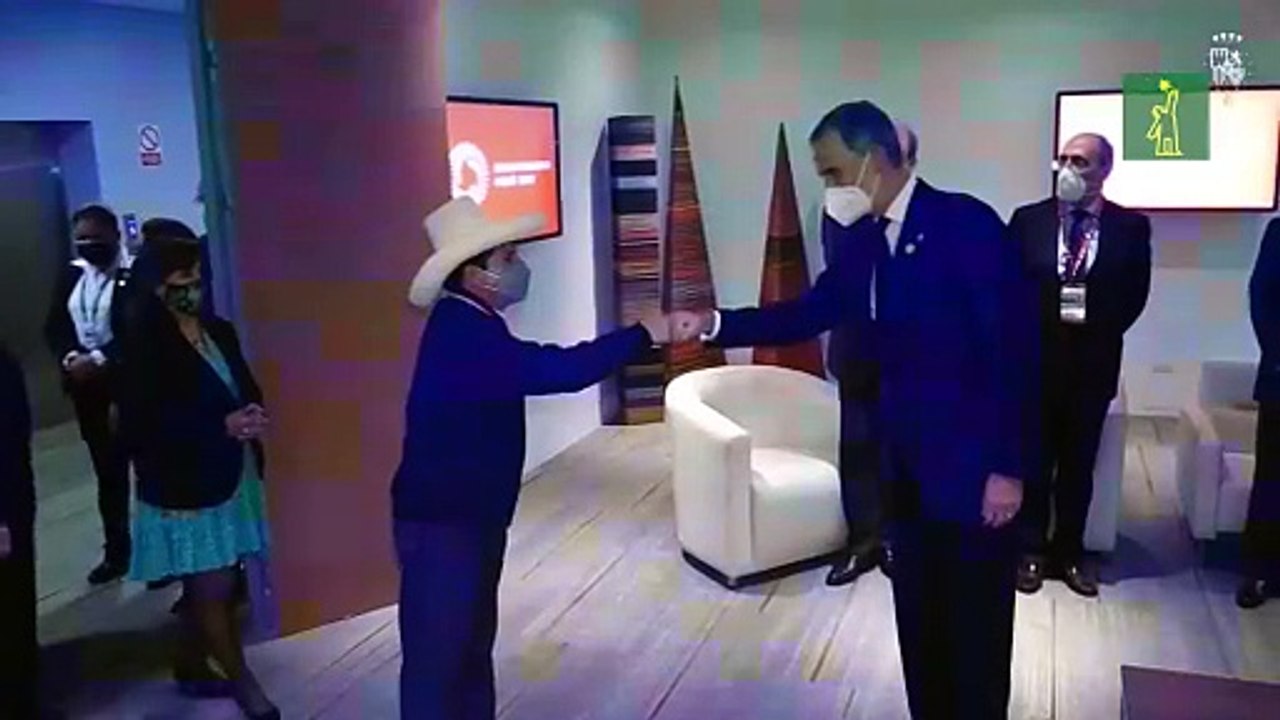 El rey Felipe VI se reunió con el nuevo presidente peruano Pedro Castillo