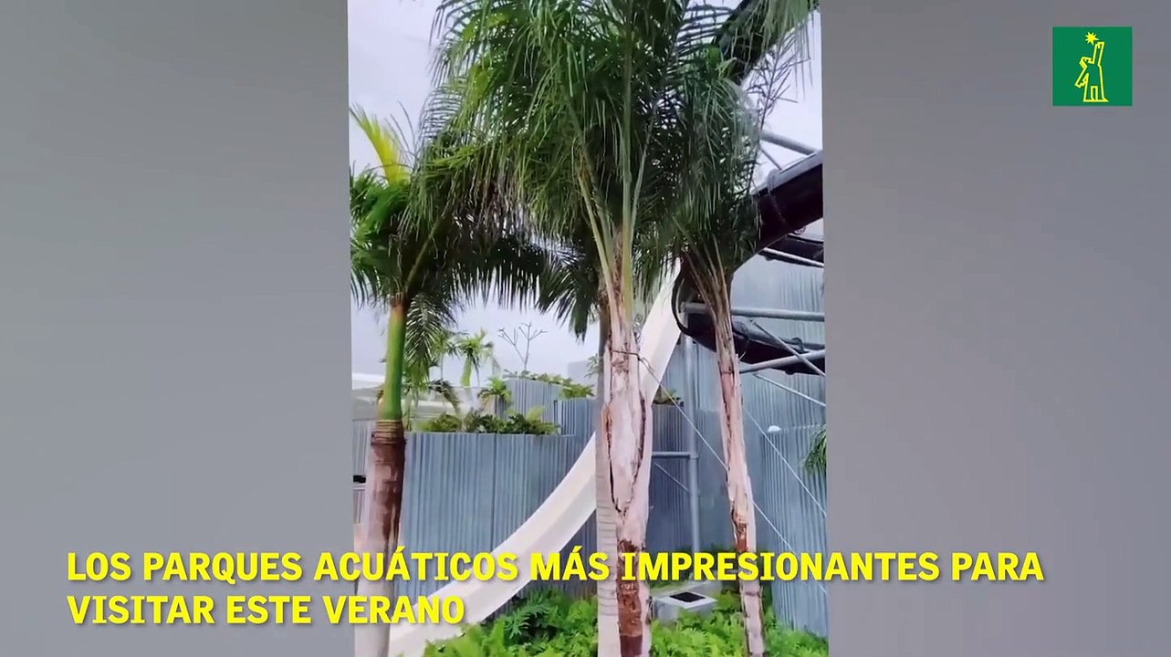 Los parques acuáticos más impresionantes para visitar este verano