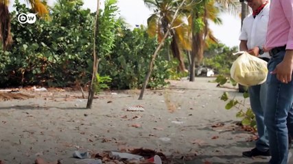 Guerra contra la basura en las playas