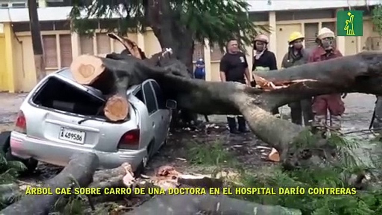 Árbol cae sobre carro de una doctora en el Hospital Darío Contreras