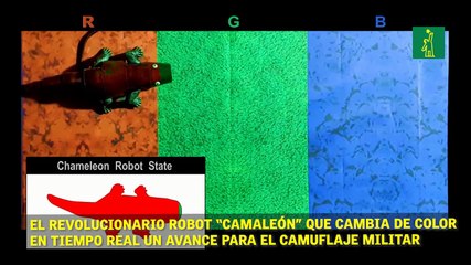 El revolucionario Robot camaleón que cambia de color en tiempo real un avance para el camuflaje militar