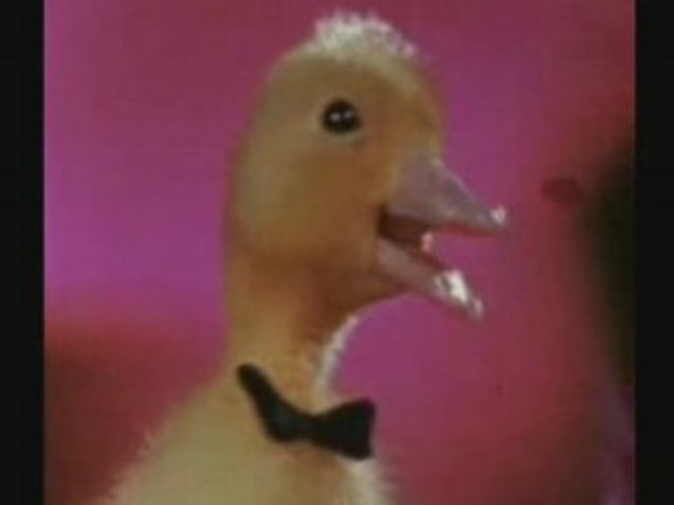 Saturnin