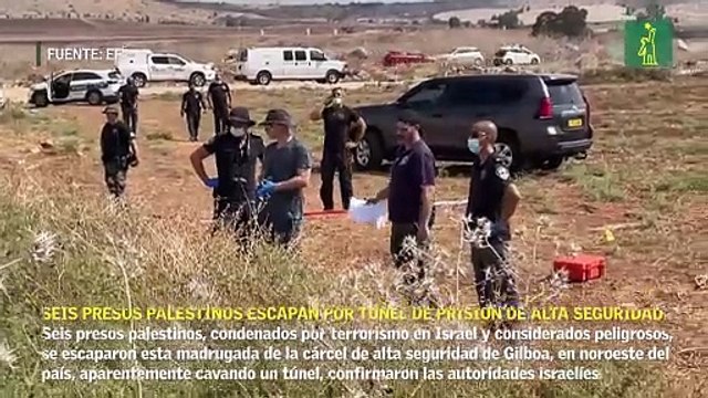 Seis presos palestinos escapan por túnel de prisión de alta seguridad israelí