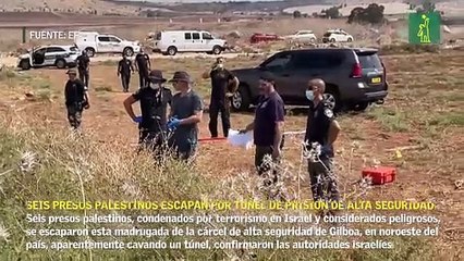 Seis presos palestinos escapan por túnel de prisión de alta seguridad israelí