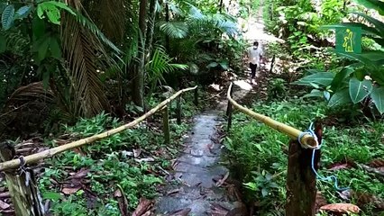 Una revolución sostenible intenta abrir camino en la Amazonía de Brasil