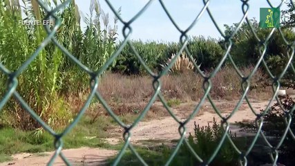 Hallan el cadáver del hombre que mató a su hijo en Barcelona