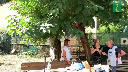 La lucha de las mariquitas para salvar a los icónicos pinos de Roma