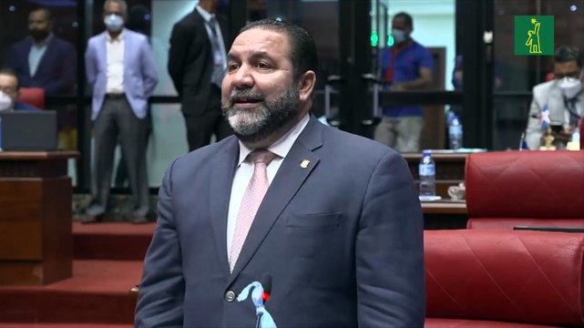 Senadores creen República Dominicana enfrenta mayores peligros desde 1844 con relación a Haití