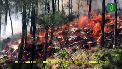 Reportan fuego forestal en comunidades de Constanza