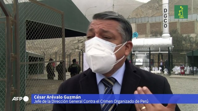 Incineran más de 18 toneladas de drogas decomisadas en Perú