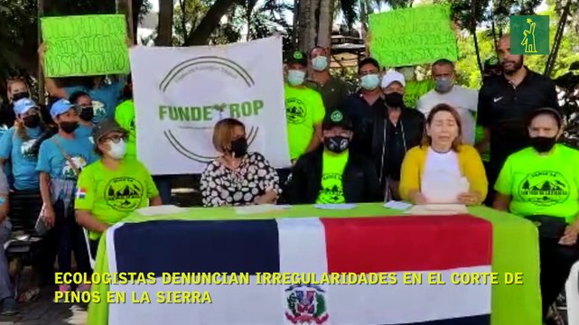 Ecologistas denuncian irregularidades en el corte de pinos en la sierra
