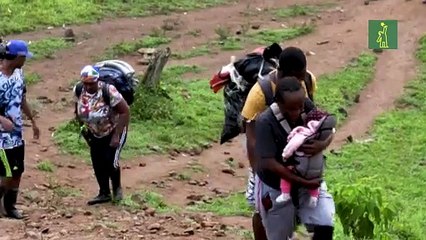 Récord de 19.000 niños migrantes cruzó este año la selva entre Colombia y Panamá rumbo a EEUU