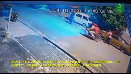Asaltantes arrastran mujer al pavimento para arrebatarle su cartera, un buen samaritano y su perro la socorren