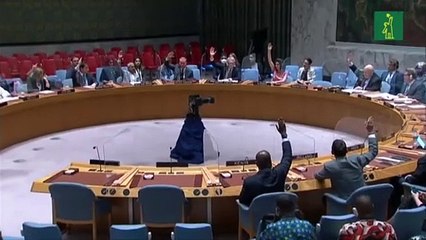 Consejo de Seguridad de ONU pide detener trasiego de armas para pandillas de Haití