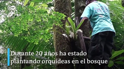 Un hombre pasa la vida salvando orquídeas de erupciones volcánicas