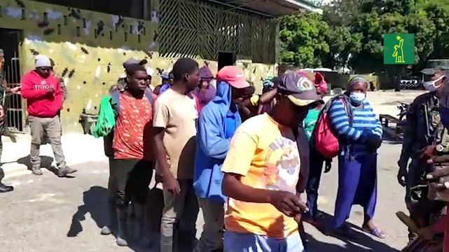 Apresan 44 haitianos indocumentados eran transportados en un camión