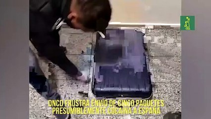 DNCD frustra envío de cinco paquetes presumiblemente de cocaína a España