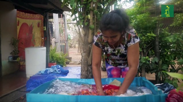 Incendios y cambio climático destruyen bosques de Bolivia a paso de gigante