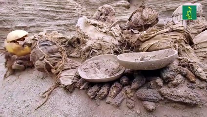 Hallan restos humanos de 800 años de antigüedad en Perú