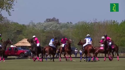 El amor por el deporte ecuestre, una de las claves del éxito del polo argentino