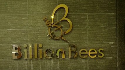 ബില്യൺ ബീസിൽ കള്ളപ്പണമൊഴുകിയതായി സൂചന