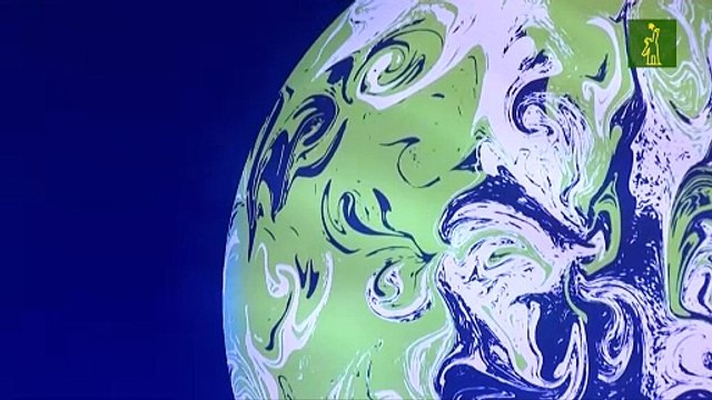 Líderes mundiales se comprometen a detener la deforestación en 2030