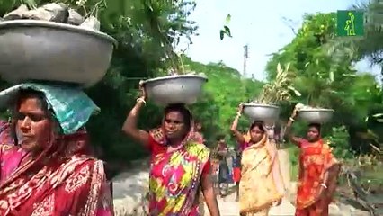 Mujeres indias se movilizan para replantar manglares ante el cambio climático