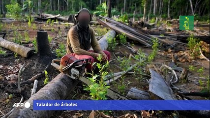 La deforestación avanza en la Amazonía colombiana